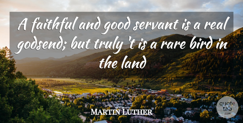Martin Luther Quote About Bird, Faithful, Good, Land, Rare: A Faithful And Good Servant...