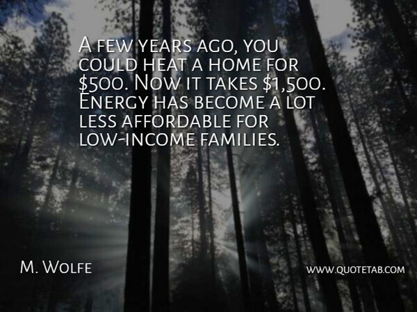 M. Wolfe Quote About Affordable, Energy, Few, Heat, Home: A Few Years Ago You...