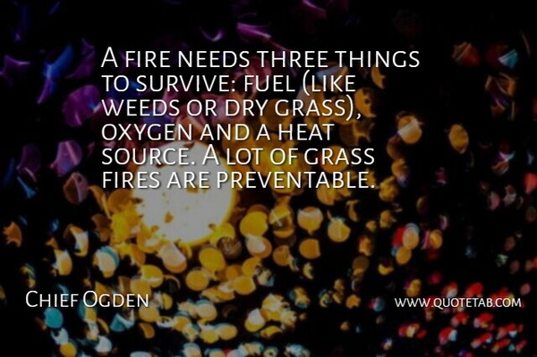 Chief Ogden Quote About Dry, Fire, Fires, Fuel, Grass: A Fire Needs Three Things...