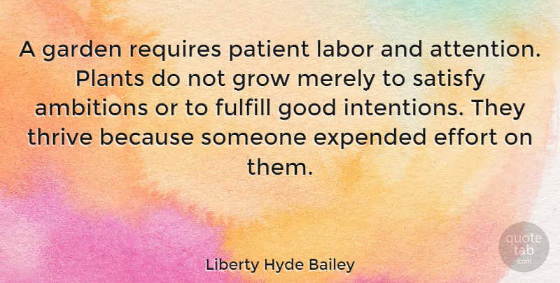 Liberty Hyde Bailey Quote About Ambition, Garden, Plants Growing: A Garden Requires Patient Labor...