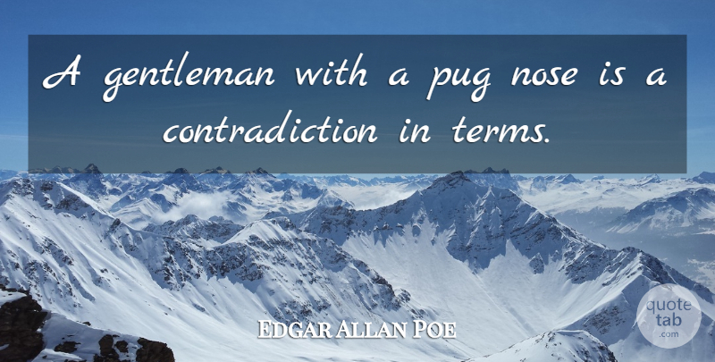 Edgar Allan Poe Quote About Gentleman, Noses, Pugs: A Gentleman With A Pug...