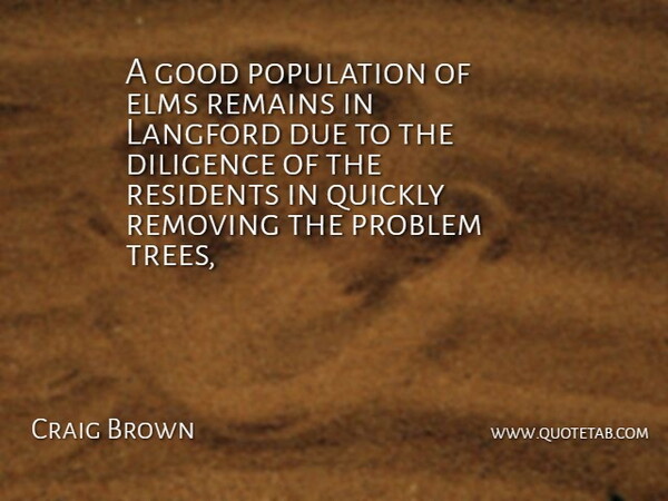 Craig Brown Quote About Diligence, Due, Good, Population, Problem: A Good Population Of Elms...