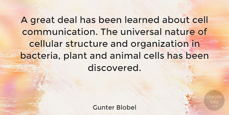 Gunter Blobel Quote About Cell, Cells, Deal, Great, Learned: A Great Deal Has Been...