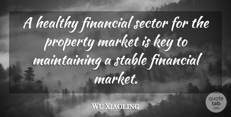 Wu Xiaoling Quote About Financial, Healthy, Key, Market, Property: A Healthy Financial Sector For...