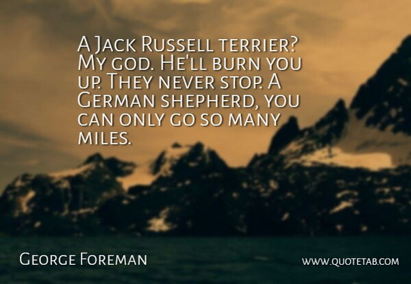 George Foreman Quote About German Shepherds, Shepherds, Miles: A Jack Russell Terrier My...