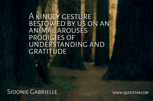 Sidonie Gabrielle Colette Quote About Gratitude, Animal, Understanding: A Kindly Gesture Bestowed By...