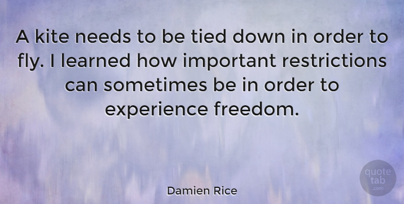 Damien Rice Quote About Experience, Freedom, Kite, Learned, Needs: A Kite Needs To Be...