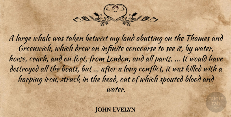 John Evelyn Quote About Blood, Destroyed, Drew, Infinite, Land: A Large Whale Was Taken...