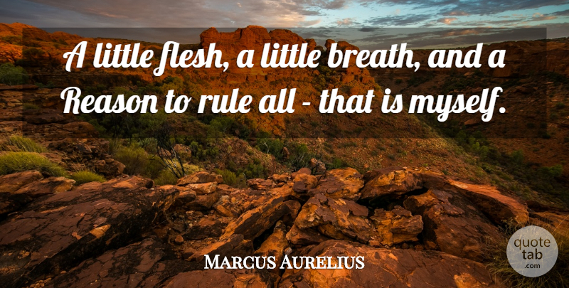 Marcus Aurelius Quote About Assessment, Flesh, Littles: A Little Flesh A Little...