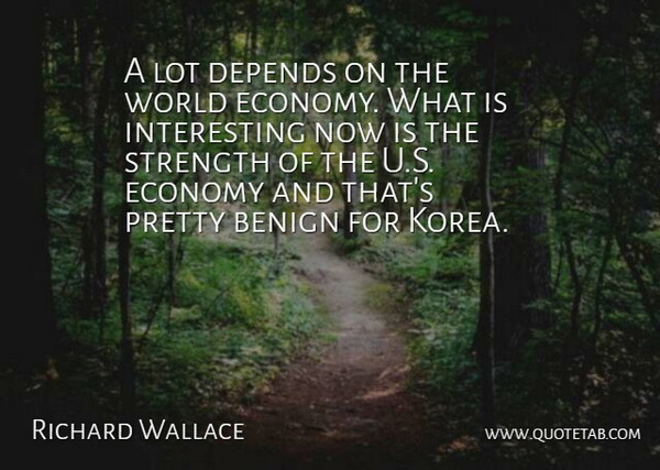 Richard Wallace Quote About Benign, Depends, Economy, Strength: A Lot Depends On The...