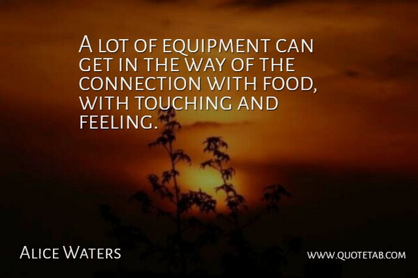 Alice Waters Quote About Equipment, Food, Touching: A Lot Of Equipment Can...