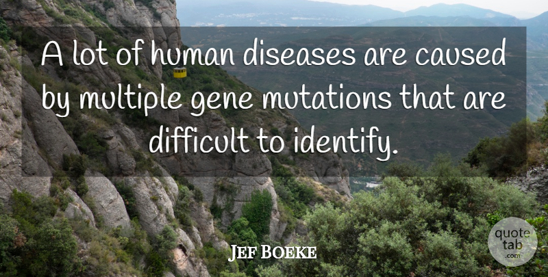 Jef Boeke Quote About Caused, Difficult, Diseases, Gene, Human: A Lot Of Human Diseases...
