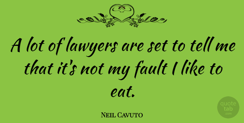 Neil Cavuto Quote About Faults, Lawyer: A Lot Of Lawyers Are...
