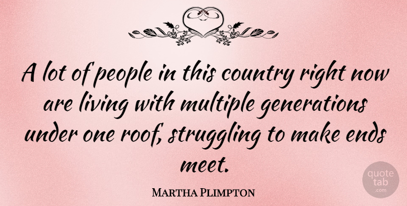 Martha Plimpton Quote About Country, Struggle, People: A Lot Of People In...