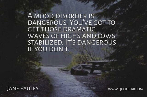 Jane Pauley Quote About Dramatic, Wave, Mood: A Mood Disorder Is Dangerous...
