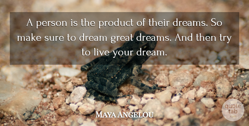 Maya Angelou Quote About Dream, Trying, Persons: A Person Is The Product...
