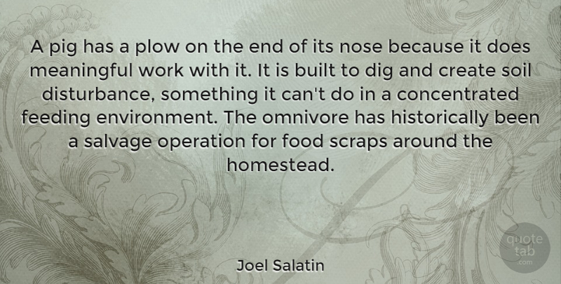 Joel Salatin Quote About Built, Create, Dig, Feeding, Food: A Pig Has A Plow...
