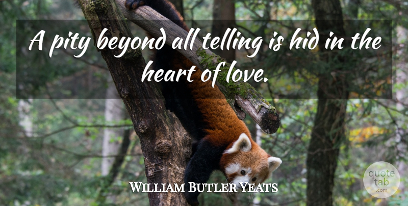William Butler Yeats Quote About Love, Life, Dream: A Pity Beyond All Telling...