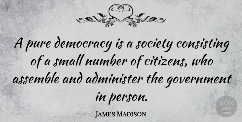 James Madison Quote About Patriotic, Government, Numbers: A Pure Democracy Is A...