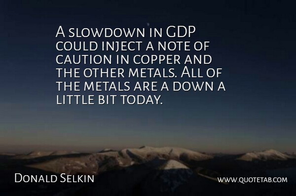 Donald Selkin Quote About Bit, Caution, Copper, Metals, Note: A Slowdown In Gdp Could...