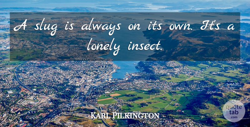 Karl Pilkington Quote About Lonely, Slugs, Insects: A Slug Is Always On...