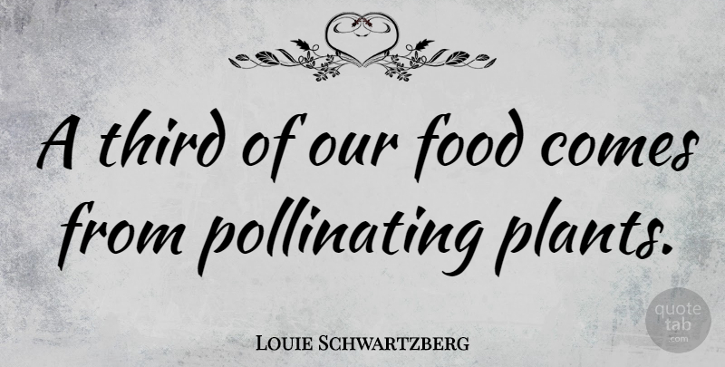 Louie Schwartzberg Quote About Food: A Third Of Our Food...