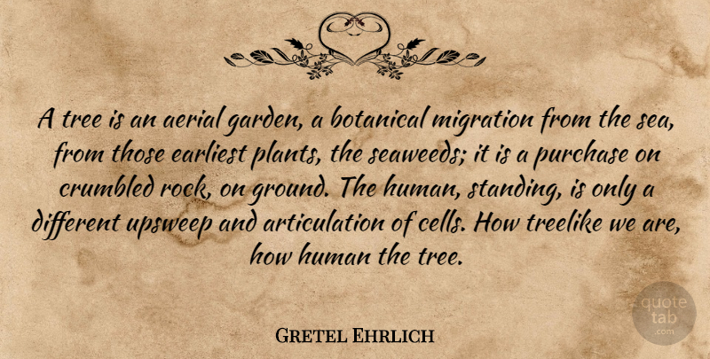 Gretel Ehrlich Quote About Garden, Cells, Sea: A Tree Is An Aerial...