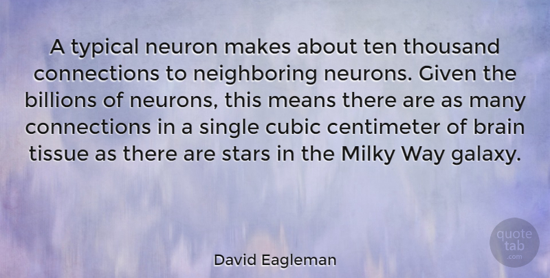 David Eagleman Quote About Stars, Mean, Brain: A Typical Neuron Makes About...