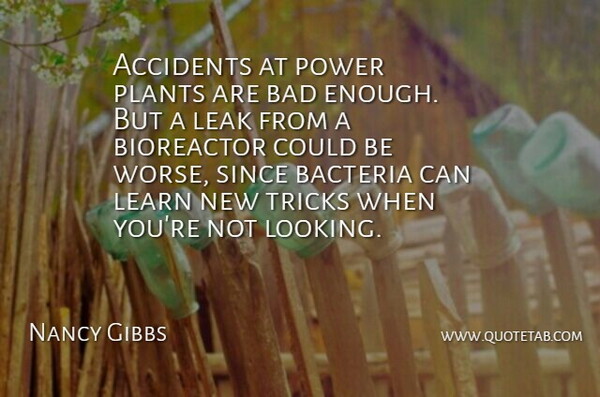 Nancy Gibbs Quote About Accidents, Bacteria, Bad, Leak, Plants: Accidents At Power Plants Are...