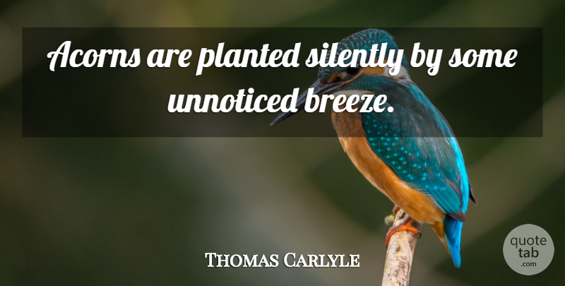 Thomas Carlyle Quote About Acorns, Birth, Breeze: Acorns Are Planted Silently By...