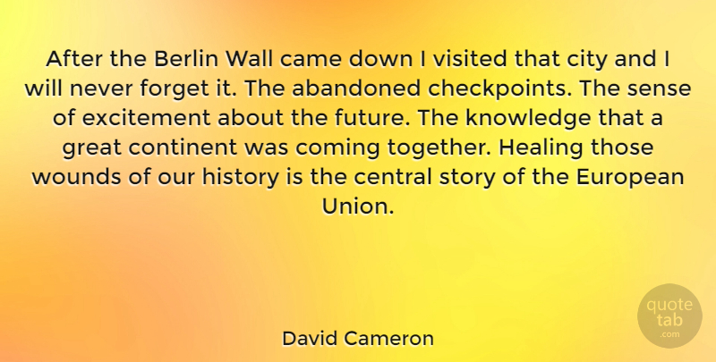 David Cameron Quote About Wall, Healing, Cities: After The Berlin Wall Came...