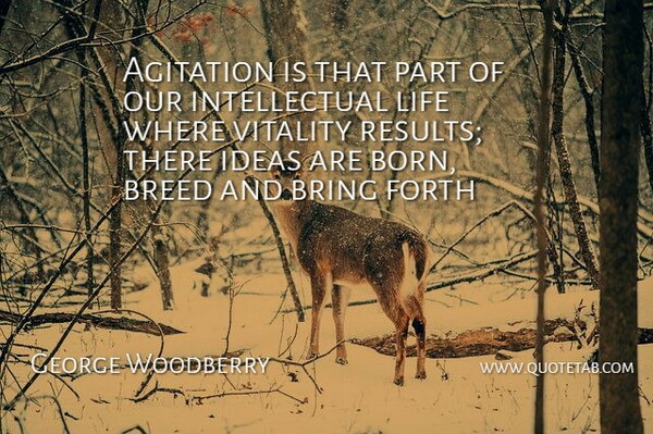 George Edward Woodberry Quote About Ideas, Intellectual, Vitality: Agitation Is That Part Of...