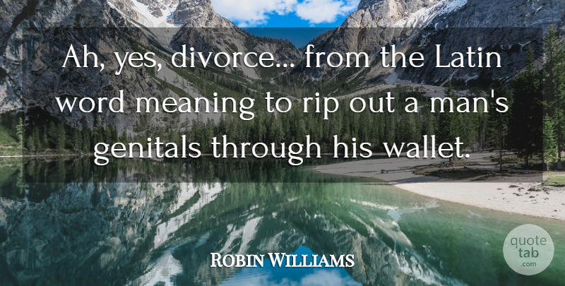 Robin Williams Quote About Funny, Single, Sexy: Ah Yes Divorce From The...