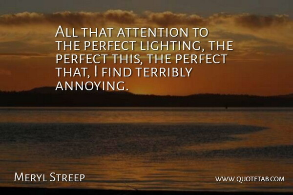 Meryl Streep Quote About Perfect, Annoyed, Attention: All That Attention To The...