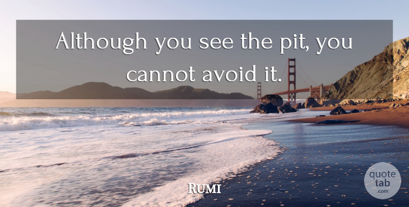Rumi Quote About Pits: Although You See The Pit...