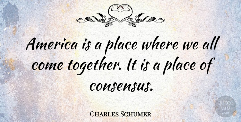 Charles Schumer Quote About America, Together, Consensus: America Is A Place Where...
