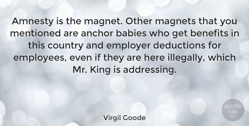 Virgil Goode Quote About Country, Baby, Kings: Amnesty Is The Magnet Other...