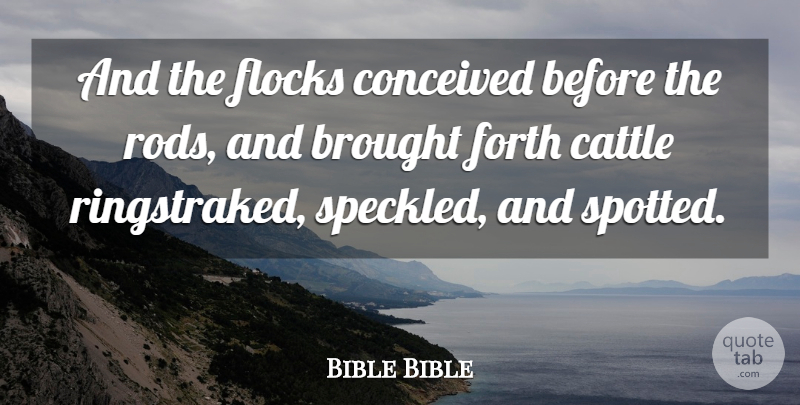 Bible Bible Quote About Brought, Cattle, Conceived, Forth: And The Flocks Conceived Before...