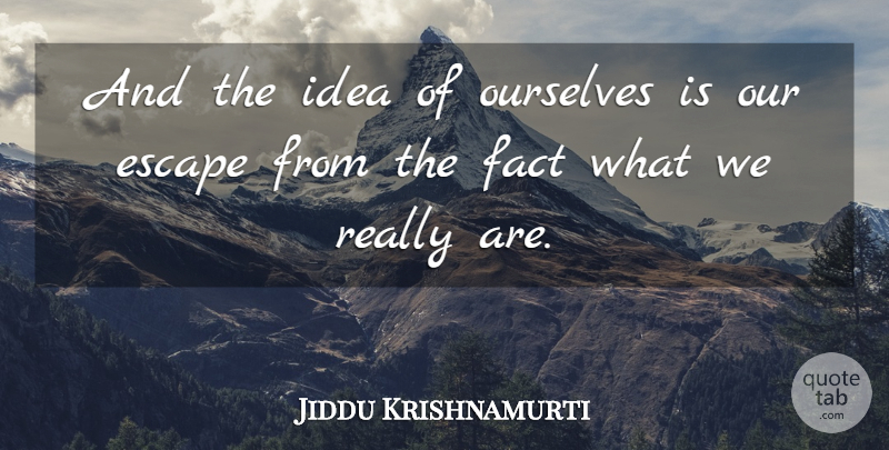Jiddu Krishnamurti Quote About Ideas, Facts: And The Idea Of Ourselves...