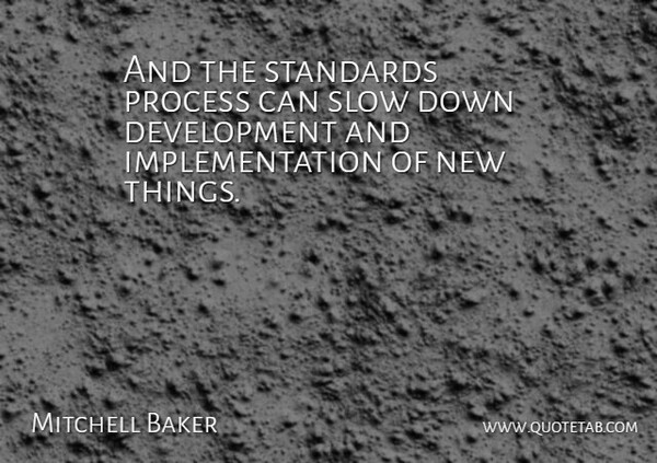 Mitchell Baker Quote About Process, Slow, Standards: And The Standards Process Can...