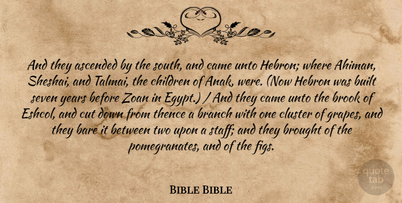 Bible Bible Quote About Bare, Branch, Brought, Built, Came: And They Ascended By The...