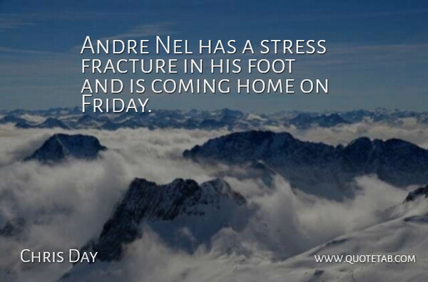 Chris Day Quote About Andre, Coming, Foot, Home, Stress: Andre Nel Has A Stress...