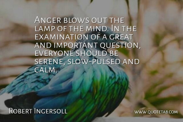 Robert Ingersoll Quote About Anger, Blows, Great, Lamp: Anger Blows Out The Lamp...