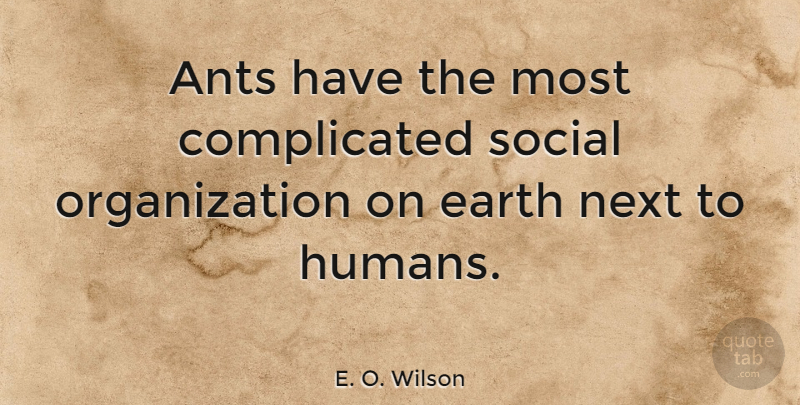 E. O. Wilson Quote About Organization, Next, Ants: Ants Have The Most Complicated...