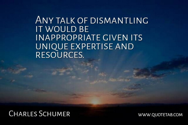 Charles Schumer Quote About Expertise, Given, Talk, Unique: Any Talk Of Dismantling It...