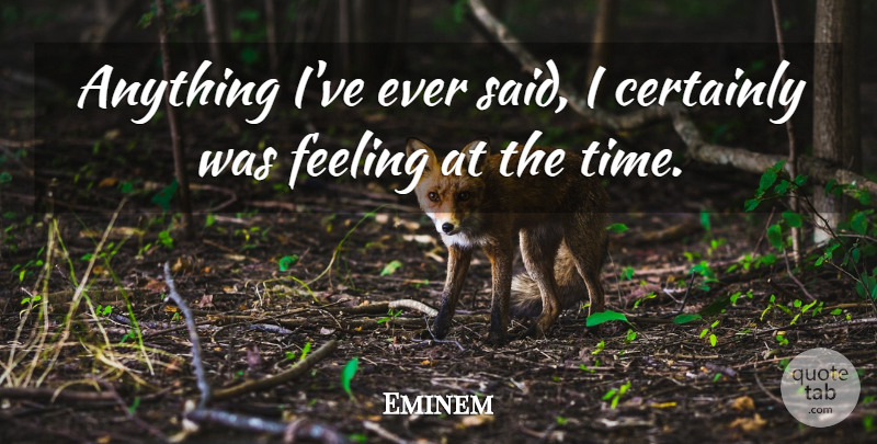 Eminem Quote About Feelings, Said: Anything Ive Ever Said I...