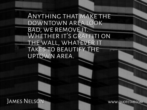 James Nelson Quote About Area, Downtown, Remove, Takes, Whatever: Anything That Make The Downtown...