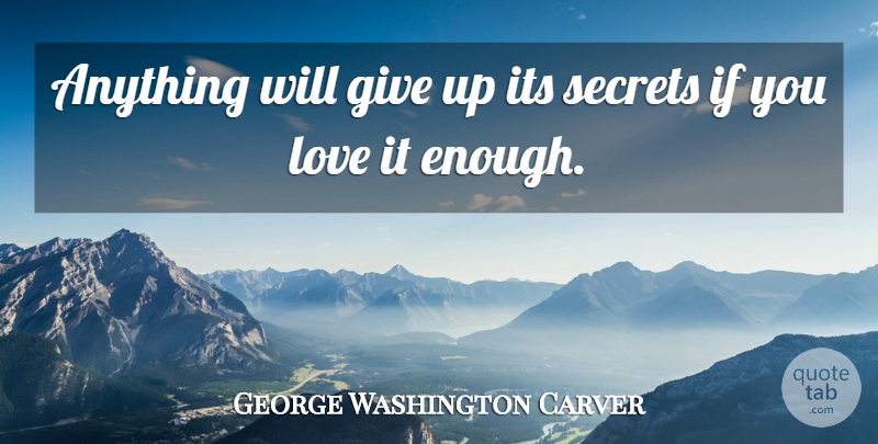 George Washington Carver Quote About Love, Giving Up, Secret: Anything Will Give Up Its...