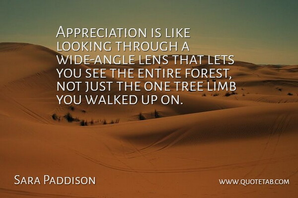 Sara Paddison Quote About Appreciation, Entire, Lens, Lets, Limb: Appreciation Is Like Looking Through...