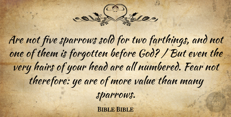 Bible Bible Quote About Fear, Five, Forgotten, God, Hairs: Are Not Five Sparrows Sold...